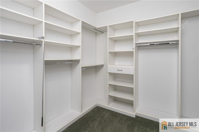 walk in closet with dark carpet