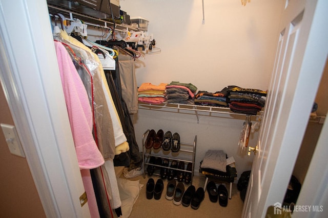 view of spacious closet