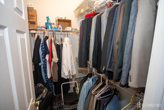 view of walk in closet
