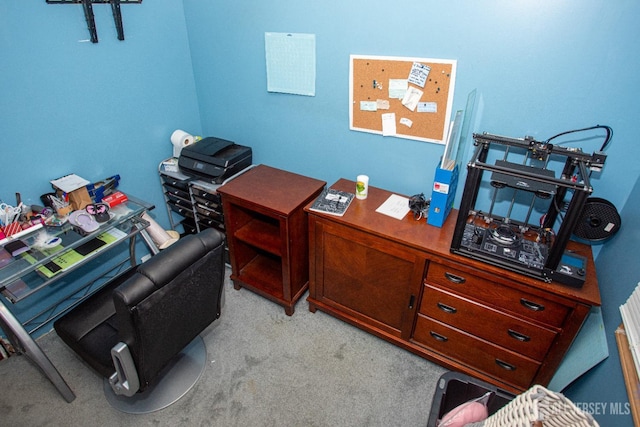 office featuring light colored carpet