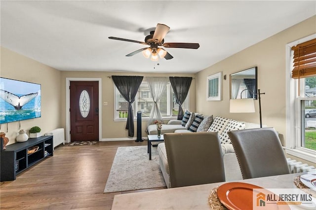 living area with healthy amount of natural light, wood finished floors, radiator heating unit, and a ceiling fan