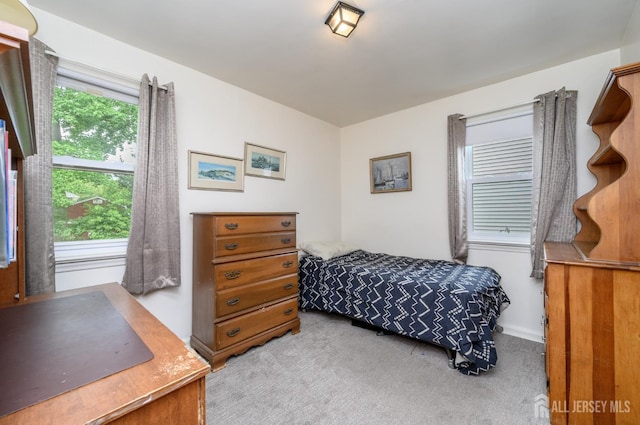 958 Apgar Ter, Rahway, NJ 07065 - bedroom featuring carpet flooring