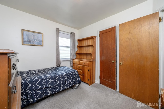 958 Apgar Ter, Rahway, NJ 07065 - view of carpeted bedroom