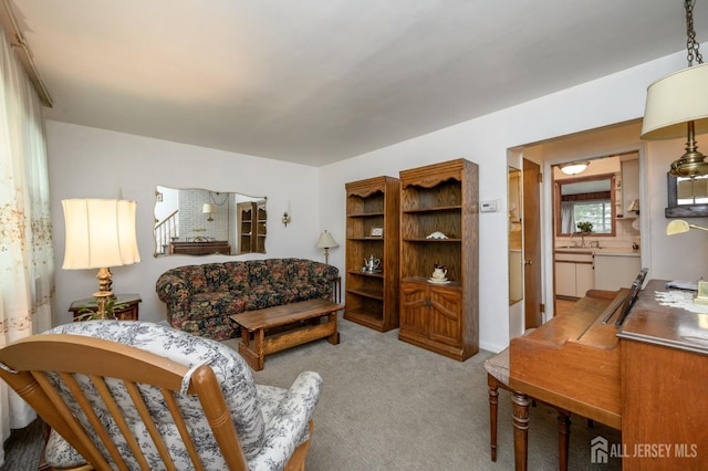 958 Apgar Ter, Rahway, NJ 07065 - living room featuring light colored carpet