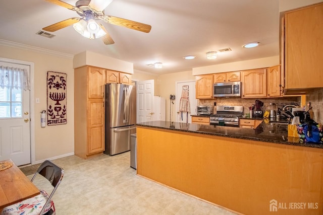 11 Drexel Ter, Monroe, NJ 08831 - kitchen with stainless steel appliances, a peninsula, a sink, dark stone counters, and decorative backsplash
