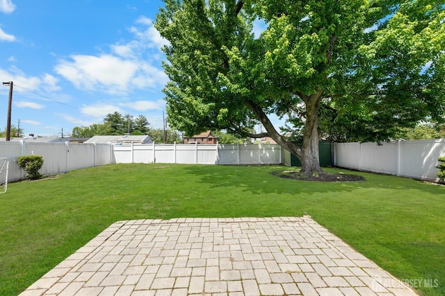view of yard featuring a patio