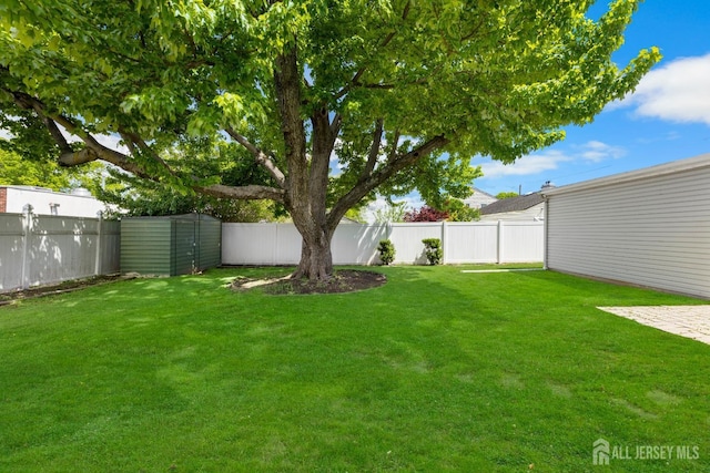 view of yard featuring an outdoor structure and a storage unit