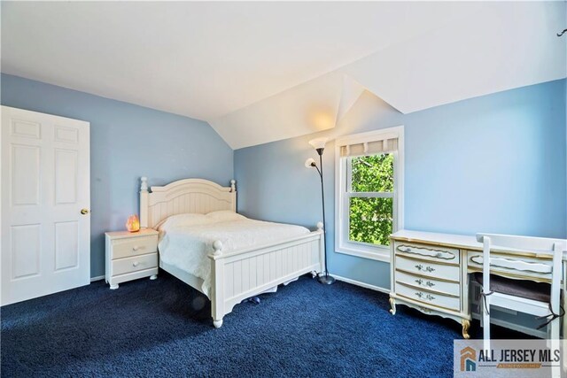 6 Miller Farm Rd, Franklin, NJ 08873 - photo 34