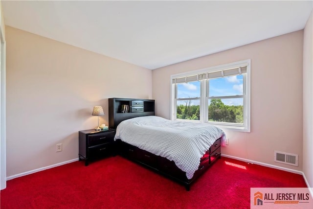 6 Miller Farm Rd, Franklin, NJ 08873 - photo 33