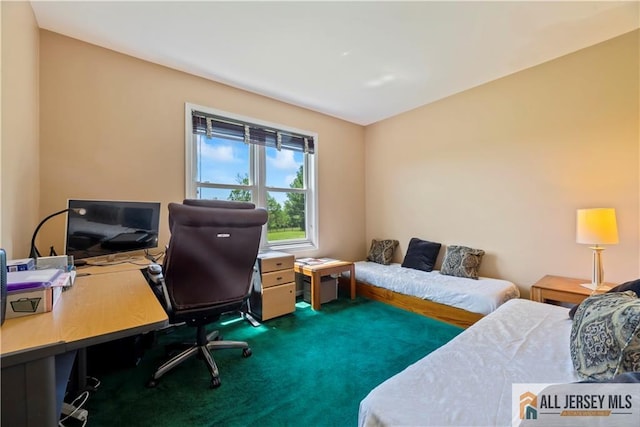 6 Miller Farm Rd, Franklin, NJ 08873 - photo 22