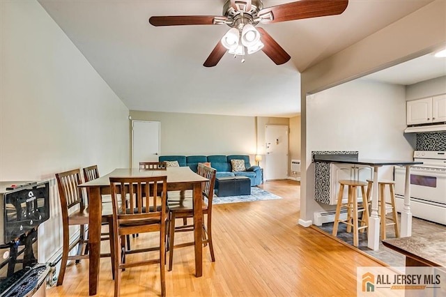 530 Andria Ave Unit 295, Hillsborough, NJ 08844 - dining room featuring a ceiling fan and light wood-style flooring