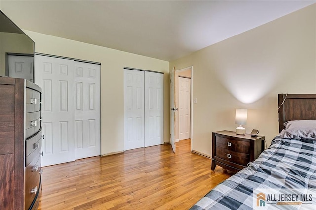530 Andria Ave Unit 295, Hillsborough, NJ 08844 - bedroom with multiple closets and light wood-type flooring