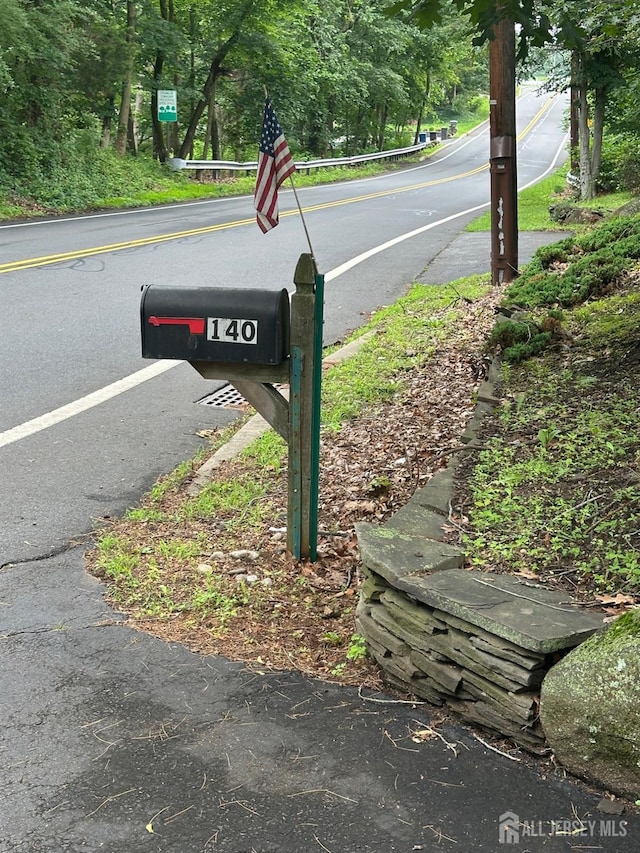 140 Bunker Hill Rd, Franklin Twsp, NJ 08540 - view of asphalt road