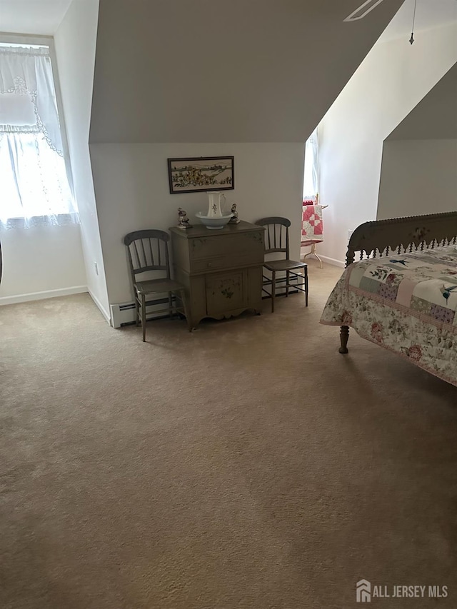 140 Bunker Hill Rd, Franklin Twsp, NJ 08540 - carpeted bedroom featuring vaulted ceiling and a baseboard radiator