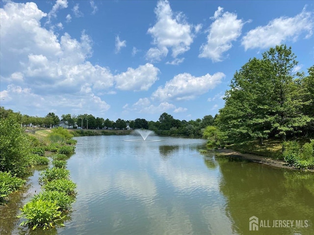 595 Waterside Blvd, Monroe, NJ 08831 - view of water feature