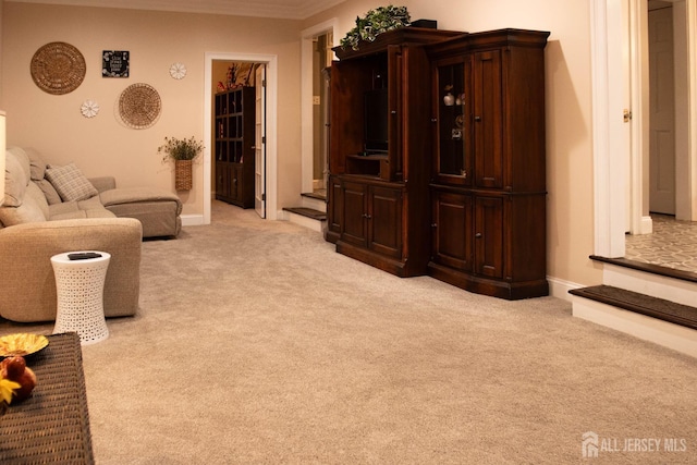 20 Wedgewood Ct, East Brunswick, NJ 08816 - living room with light colored carpet and ornamental molding