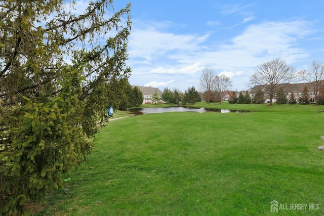 76 Lynnette Ct, South Brunswick, NJ 08824 - photo 22