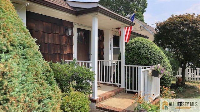 541 Cook Ave, Middlesex, NJ 08846 - photo 11