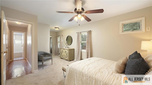 541 Cook Ave, Middlesex, NJ 08846 - photo 23