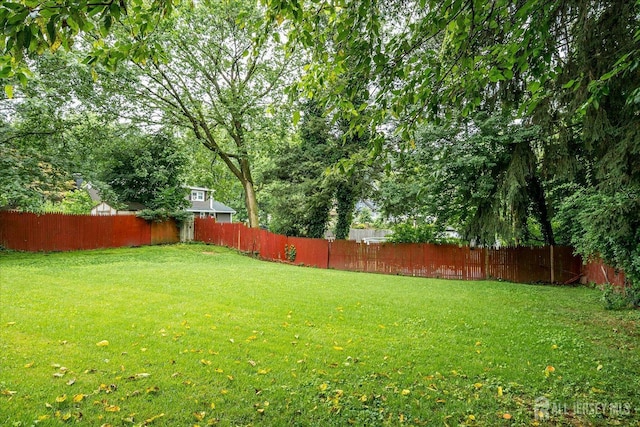 164 Mahar Ave, South Plainfield, NJ 07080 - view of fenced backyard