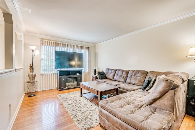 164 Mahar Ave, South Plainfield, NJ 07080 - living area with light wood-style floors, ornamental molding, and a glass covered fireplace