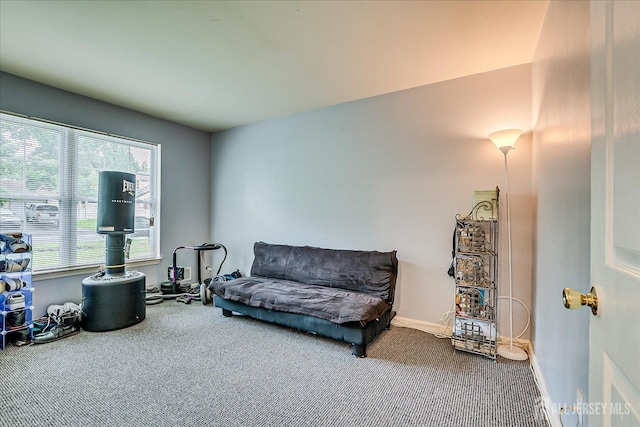164 Mahar Ave, South Plainfield, NJ 07080 - sitting room featuring carpet flooring