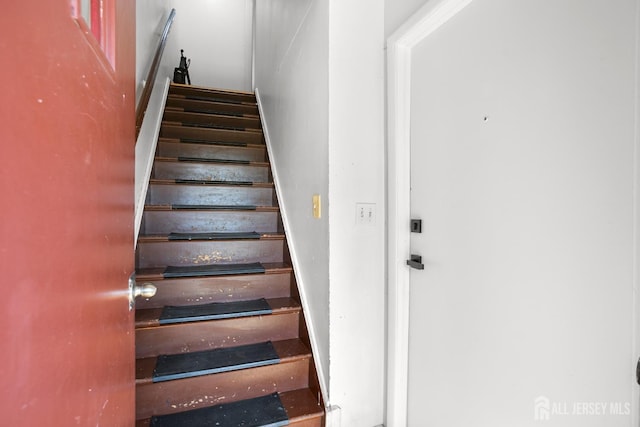 11 Pekola Ter, Carteret, NJ 07008 - photo 26