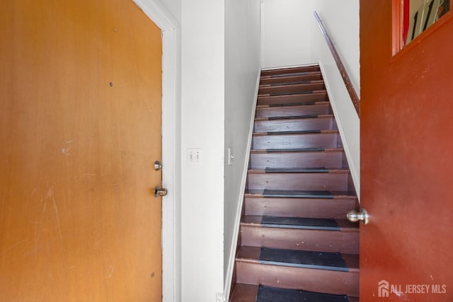 11 Pekola Ter, Carteret, NJ 07008 - photo 29