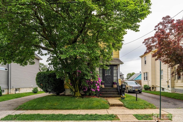 11 Jean Ct, Woodbridge Proper, NJ 07095 - obstructed view of property featuring asphalt driveway and a front lawn