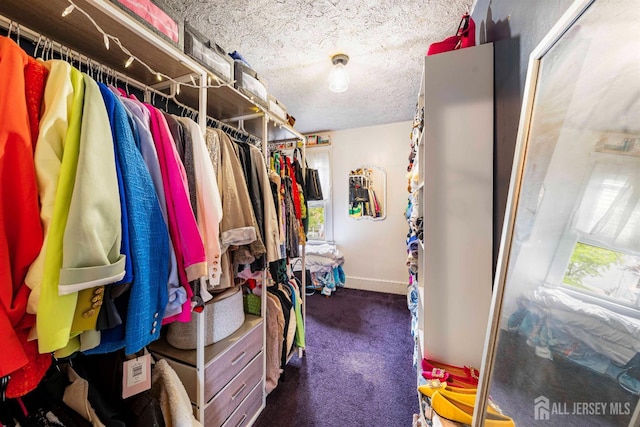 11 Jean Ct, Woodbridge Proper, NJ 07095 - walk in closet with carpet floors