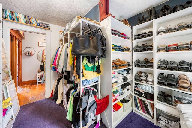 11 Jean Ct, Woodbridge Proper, NJ 07095 - spacious closet featuring carpet