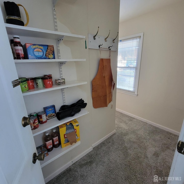 mudroom featuring carpet floors and baseboards