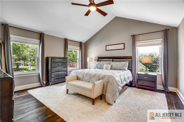 12 Wharton Ct, South Brunswick, NJ 08824 - bedroom featuring vaulted ceiling, dark wood-type flooring, and ceiling fan