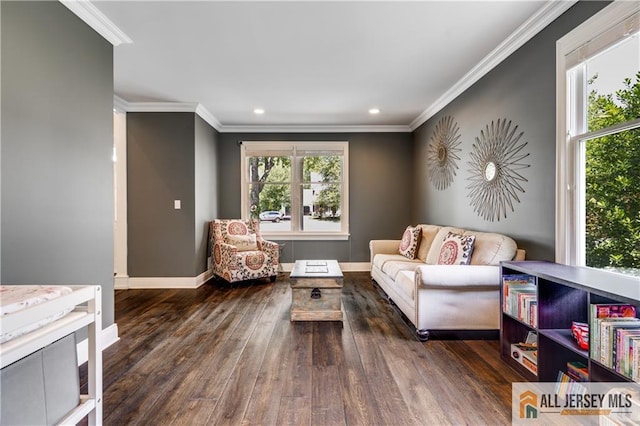 12 Wharton Ct, South Brunswick, NJ 08824 - living area with crown molding, wood-type flooring, and recessed lighting