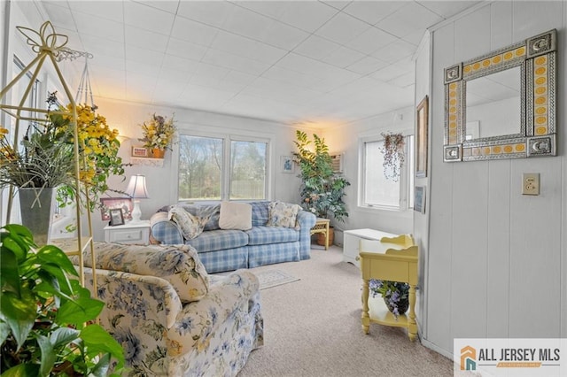 377 Ridge Rd, South Brunswick, NJ 08810 - living room featuring carpet