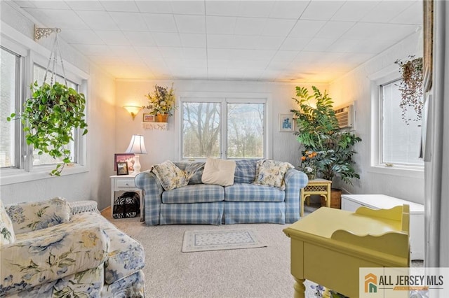 377 Ridge Rd, South Brunswick, NJ 08810 - carpeted living area with a wall mounted air conditioner