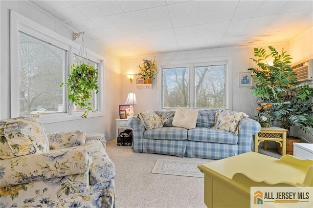 377 Ridge Rd, South Brunswick, NJ 08810 - view of carpeted living room