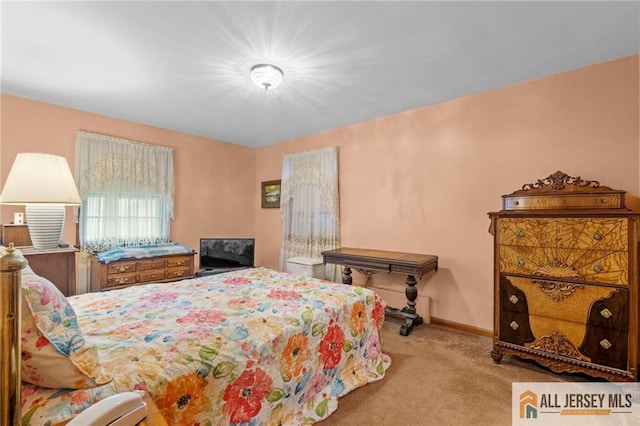 377 Ridge Rd, South Brunswick, NJ 08810 - bedroom featuring carpet flooring and baseboards