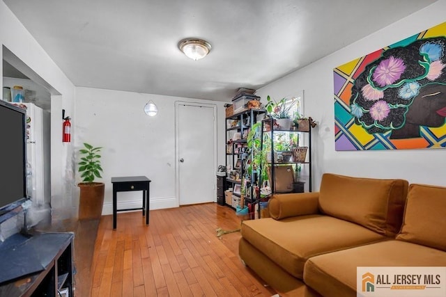 living room with hardwood / wood-style floors