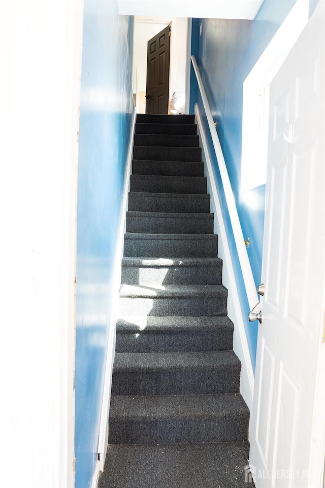 50 Heald St, Carteret, NJ 07008 - photo 14