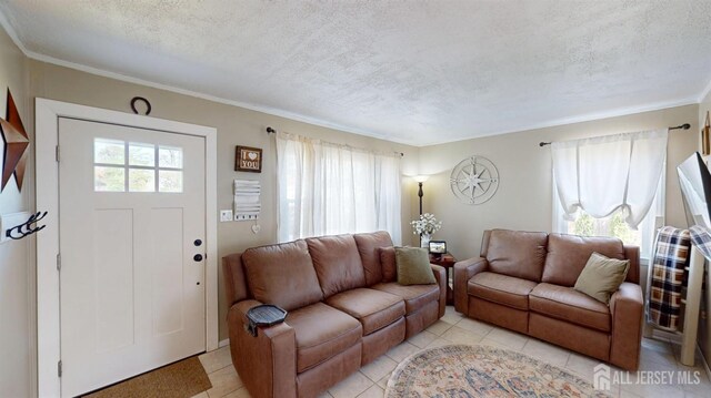 68 Applegate Ave, Monroe, NJ 08831 - living room with a textured ceiling, light tile patterned flooring, and ornamental molding