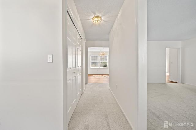 727 Mount Vernon Rd Unit B, Monroe, NJ 08831 - photo 7