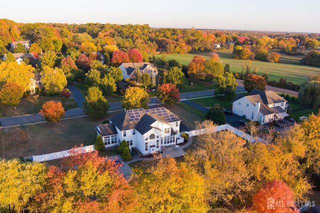 bird's eye view