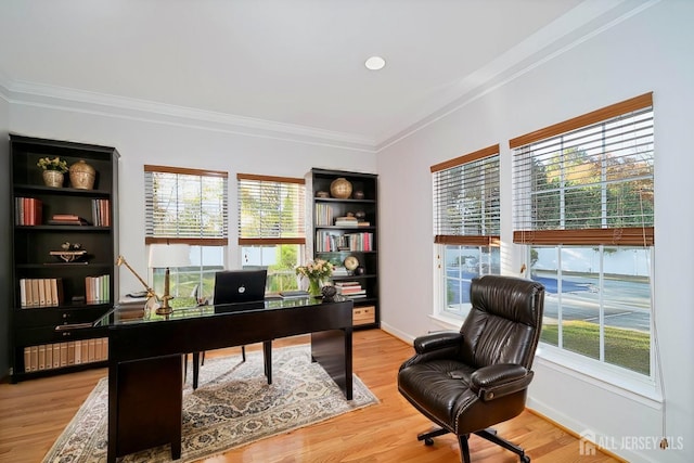 office with baseboards, radiator heating unit, crown molding, and light wood finished floors