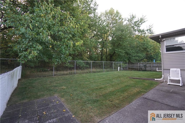 view of yard featuring a patio