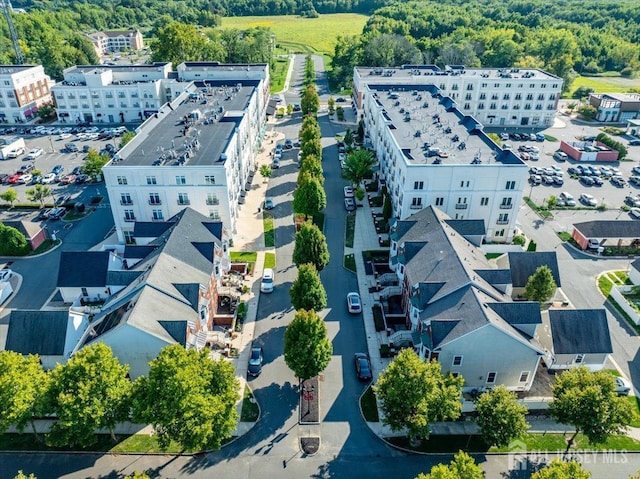 aerial view of a forest