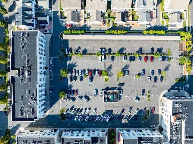 bird's eye view