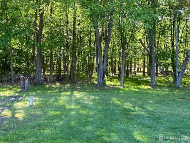 view of grassy yard