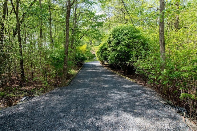 view of road featuring a forest view
