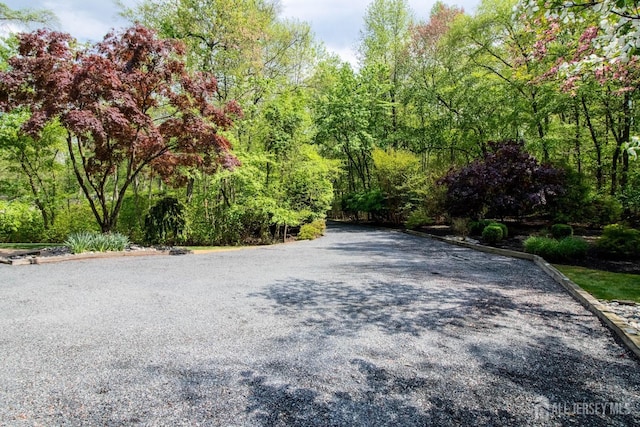 view of road with a wooded view